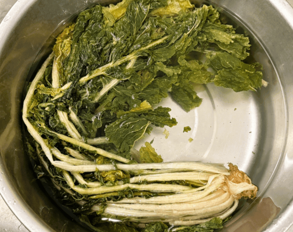 온라인 커뮤니티