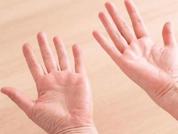 온라인 커뮤니티