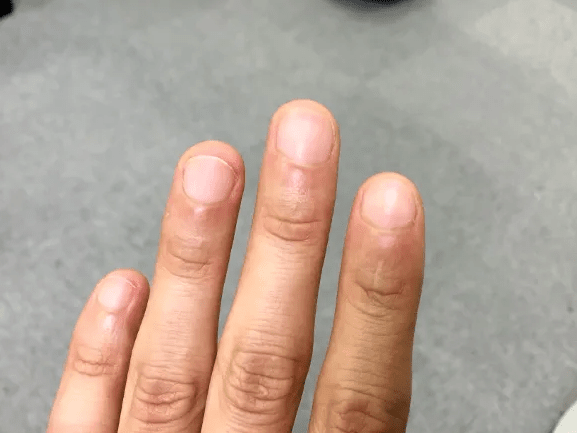 온라인 커뮤니티